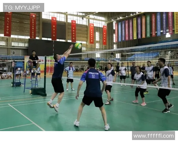 武汉排球队的拼搏之路挑战赛特别报道展现奋斗精神与团队力量